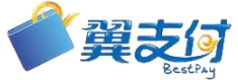 翼支付卡